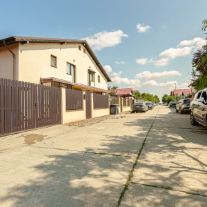  VIDRA – COMPLEX DEALUL VERDE, DUPLEX 100 MP, LOT 250 MP!