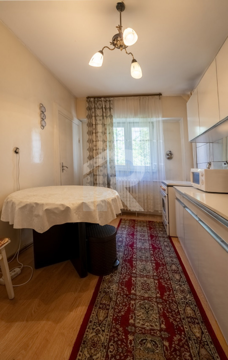 VASILE CONTA 3 CAMERE 75 MP 1982 